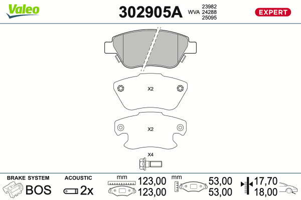 302905A