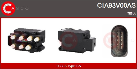 CIA93V00AS