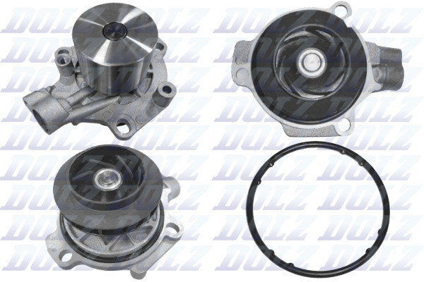 A255 DOLZ