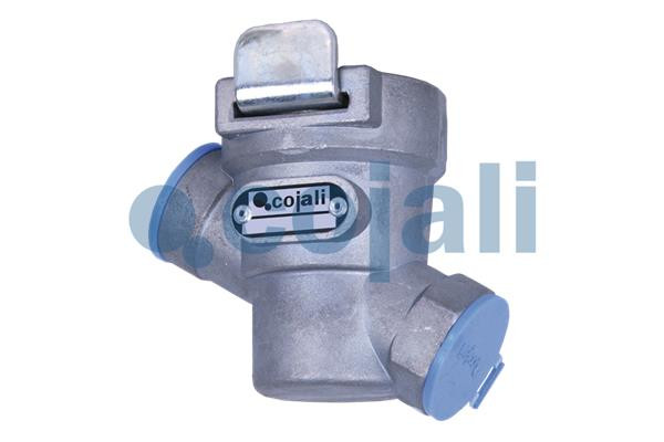 2204105 COJALI