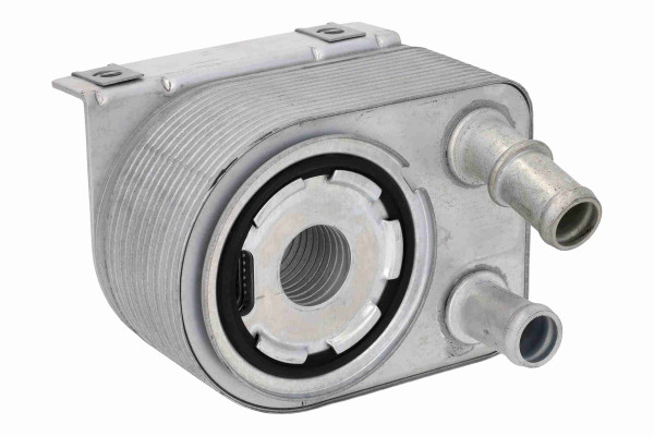 V33-60-0018