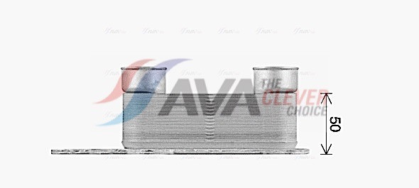 BW3622