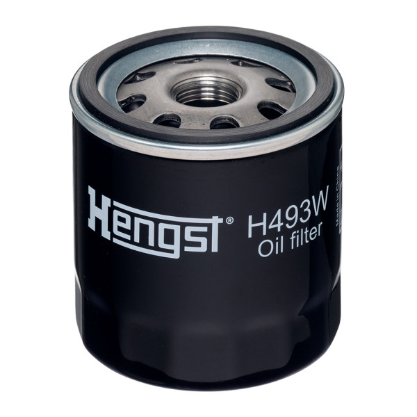 H493W