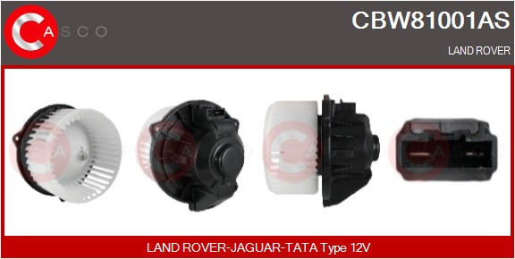 CBW81001AS