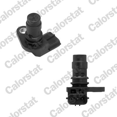 CS0411 CALORSTAT BY VE