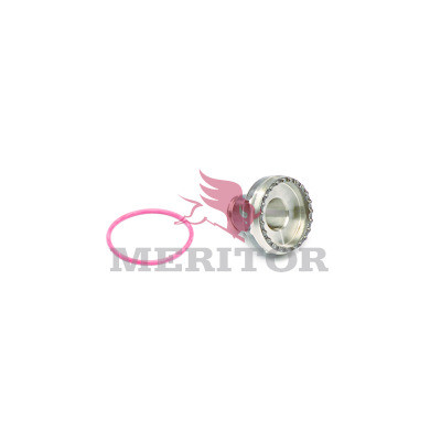 ST4010 MERITOR
