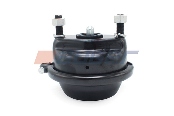 21317 AUGER