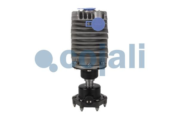 2480001 COJALI