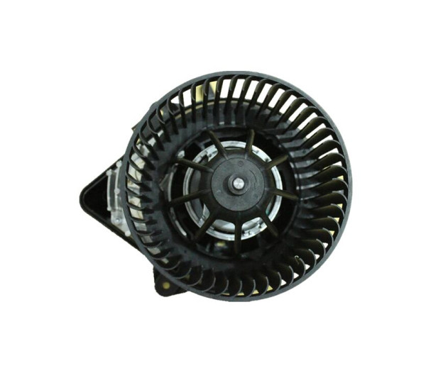 WBL01396