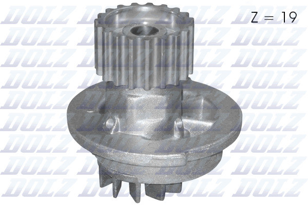 D211 DOLZ
