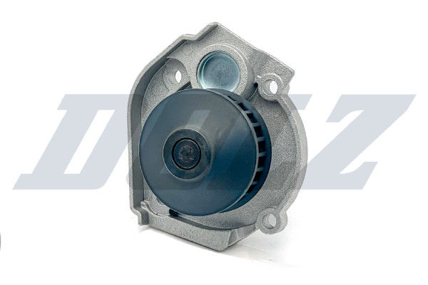 S261 DOLZ