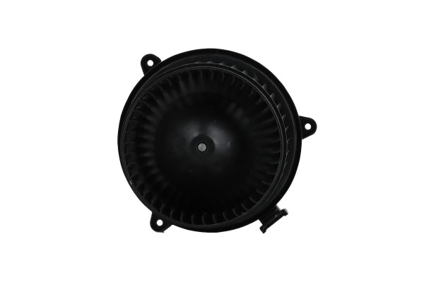 WBL01437