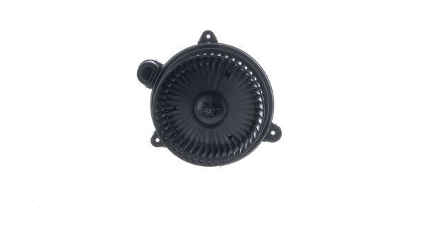 AB 346 000S