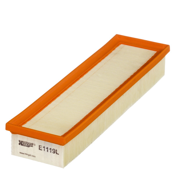 E1119L