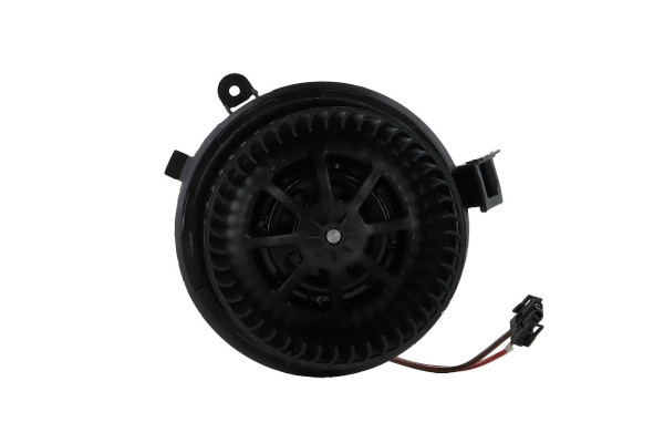 WBL01419