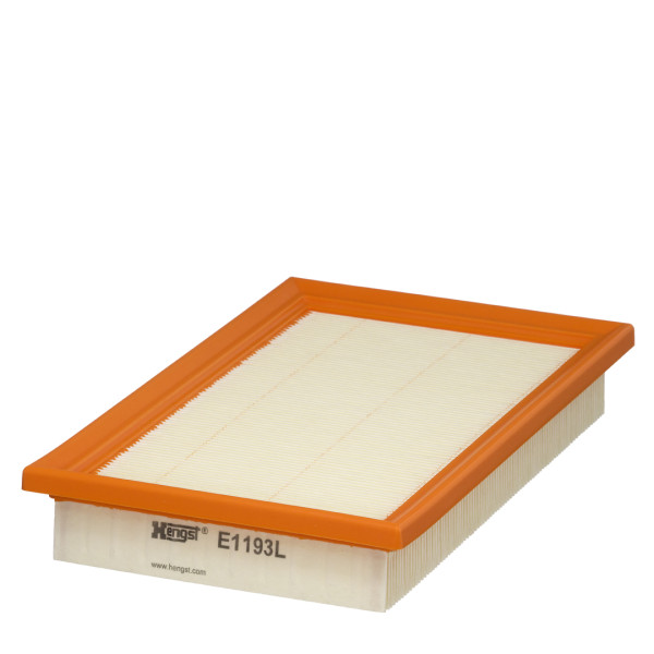 E1193L