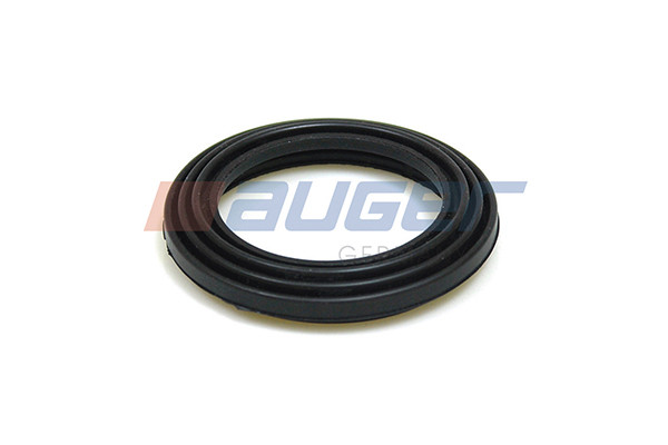 55360 AUGER