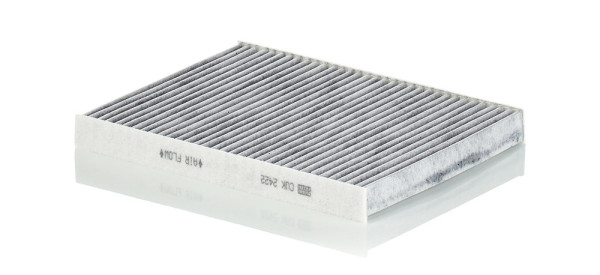 1000610256