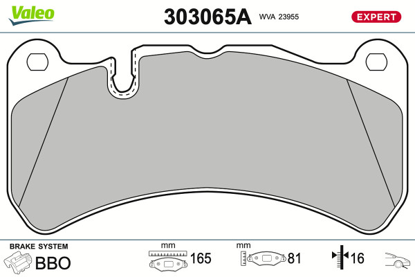 303065A