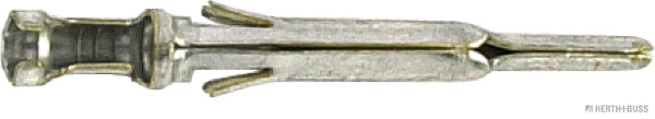 50251816