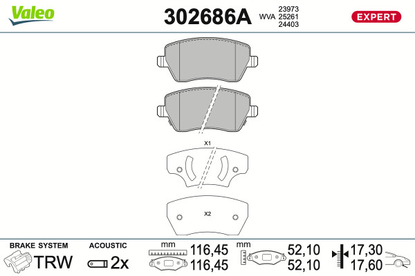 302686A