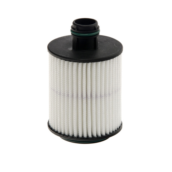 E124H01 D202