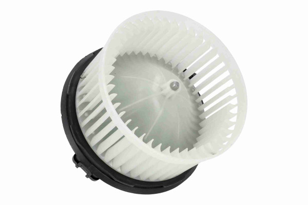 V15-03-1946