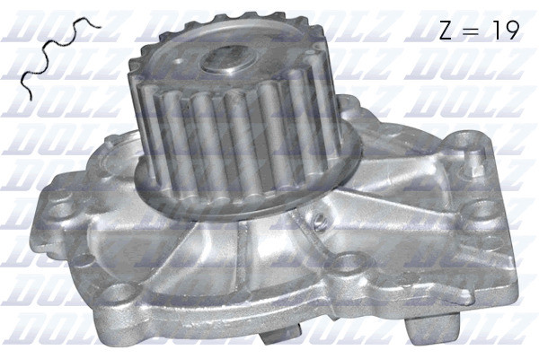 R304 DOLZ