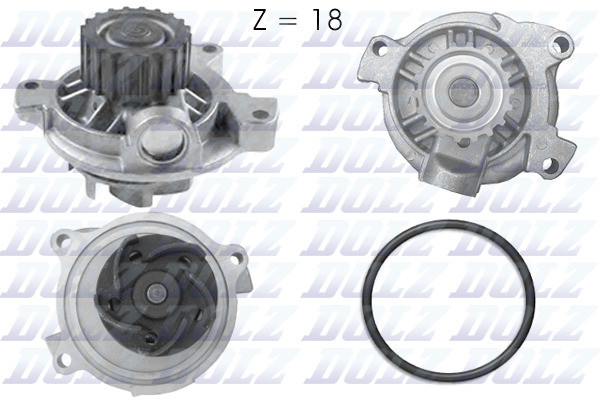 A178 DOLZ