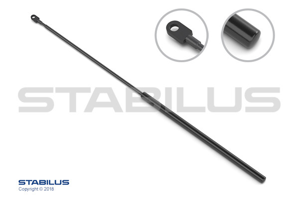 876900 STABILUS