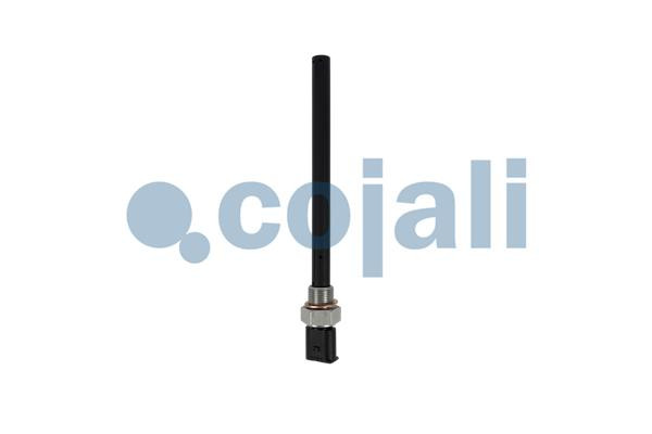 2260033 COJALI