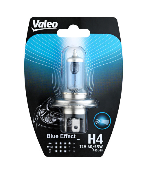 032512 VALEO