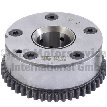 50056146