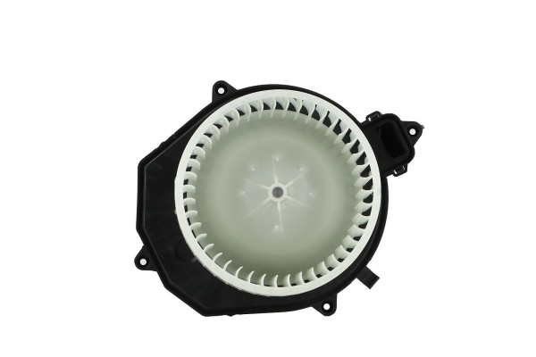 WBL01477