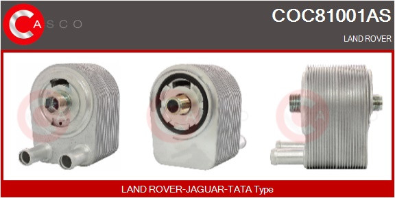 COC81001AS