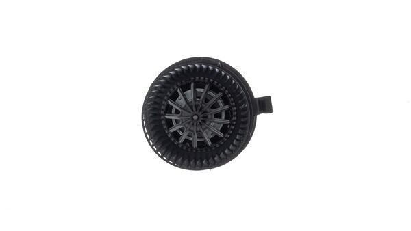 AB 397 000S