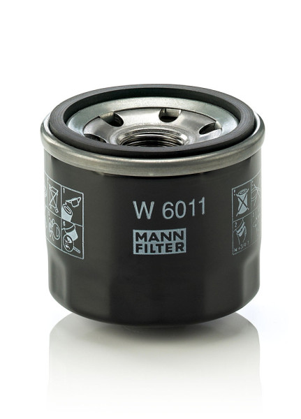 W 6011