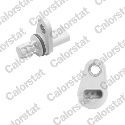 CS0386 CALORSTAT BY VE