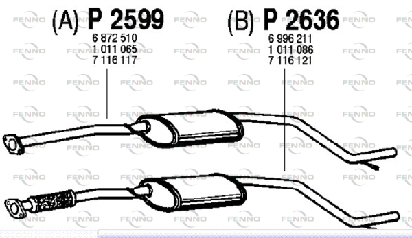 P2636 FENNO