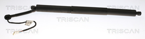 8710 11308 TRISCAN