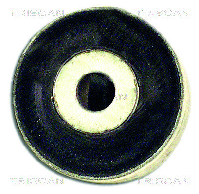 8500 29845 TRISCAN