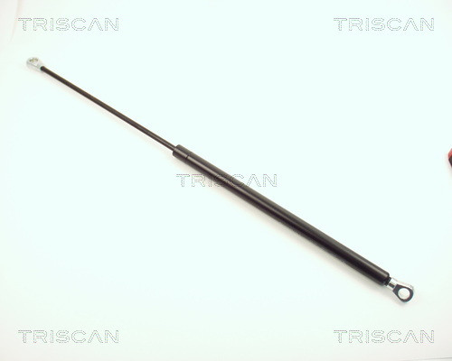 8710 1601 TRISCAN