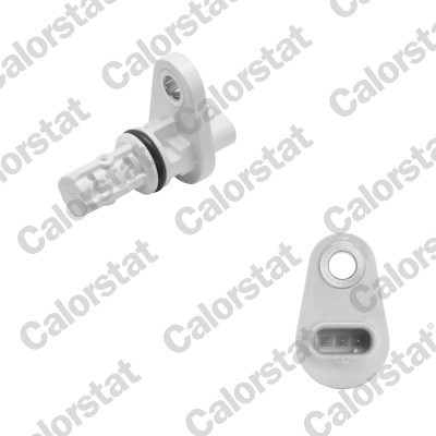 CS0392 CALORSTAT BY VE