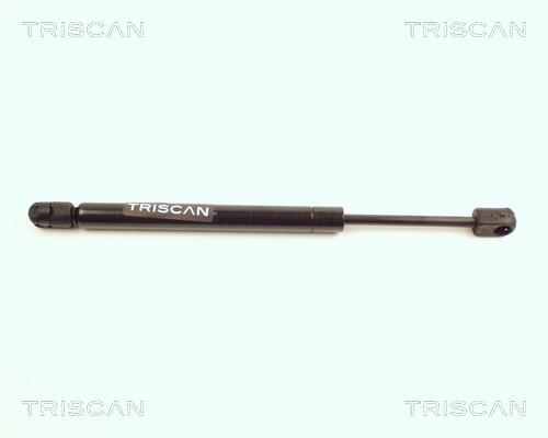 8710 25205 TRISCAN