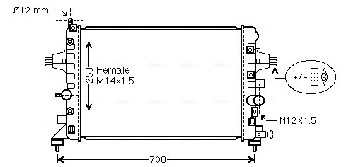 OL2482 AVA QUALITY COO