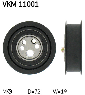 VKM 11001