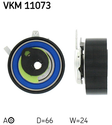 VKM 11073