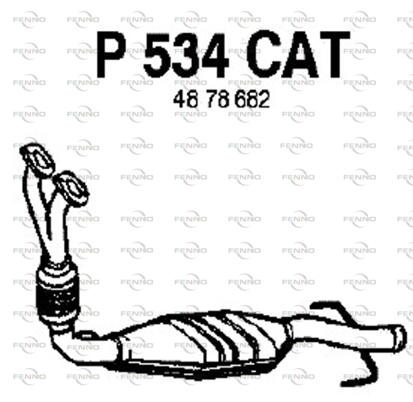 P534CAT FENNO