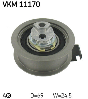 VKM 11170