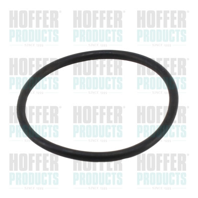 01691 HOFFER